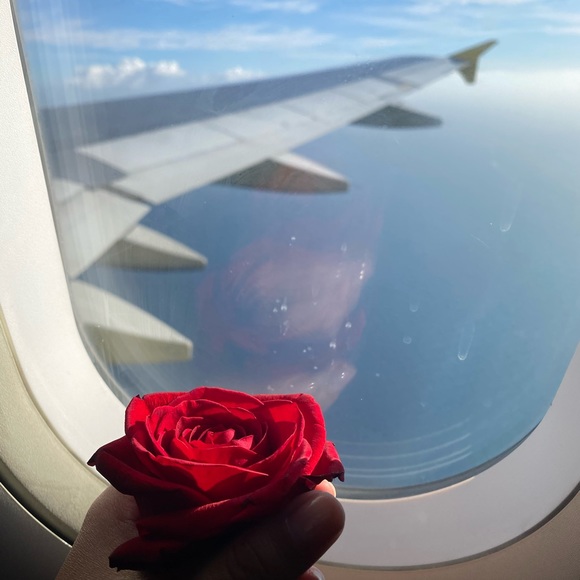 Meet your Posher, Amy - Picture 6 of 6